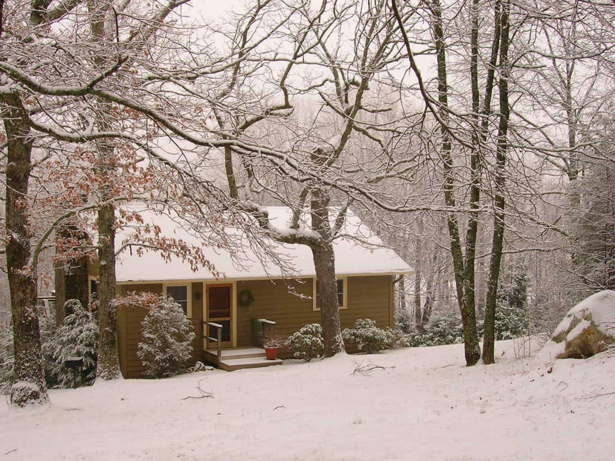 Fire Mountain Inn Cabins & Treehouses Scaly Mountain Dış mekan fotoğraf